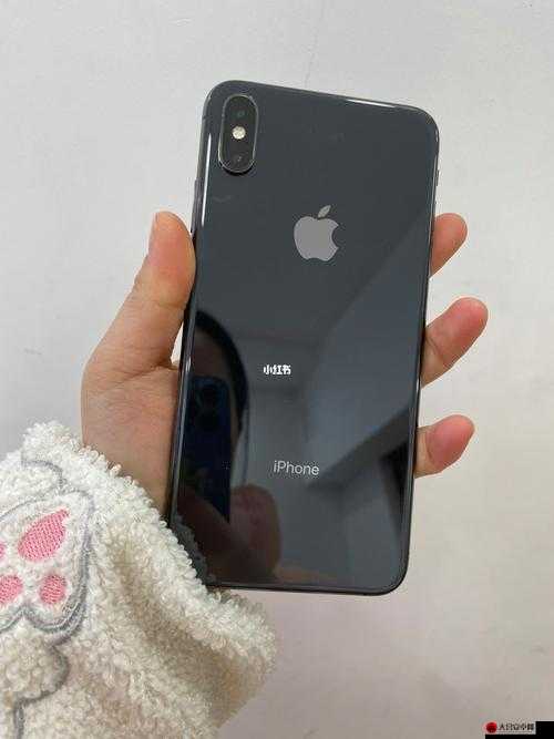 IPHONEXSMAX 巅峰之作，超越想象